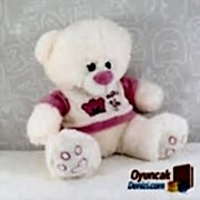 SEVİMLİ AYICIK