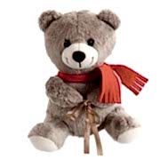 PELUŞ AYICIK