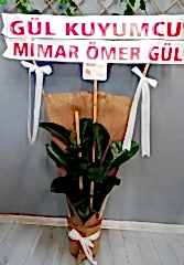 KAUÇUK (ÇİFT GÖVDELİ)