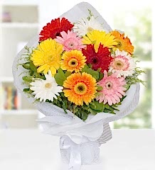 Renkli Gerbera Buketi