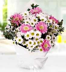 Papatya ve Gerbera Buketi