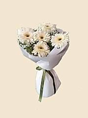 BEYAZ GERBERA ÇİÇEĞİ