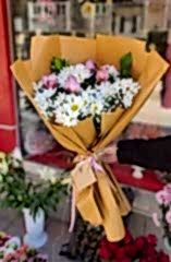 PEMBE BÜYÜ PAPATYA